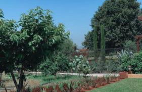 CAMPO DE SOBARBO - Guest House rural - Foto 68