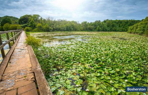 The Stables And Bullpen - Photo 28