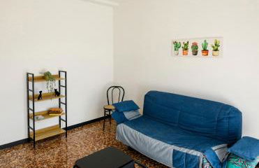 Chiwi's Home 2 - Photo 19