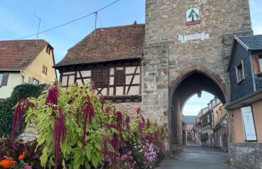 Beck Domaine du Rempart - Foto 35