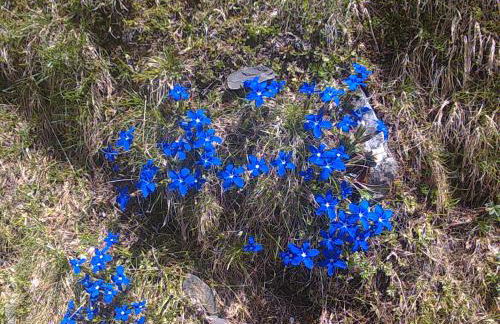 Studio Ceriséma Pyrénées Zénith - Foto 44