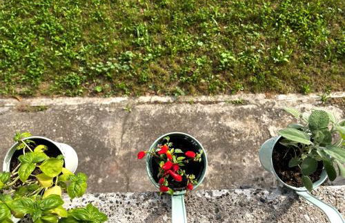 White flat Puglie - Photo 55