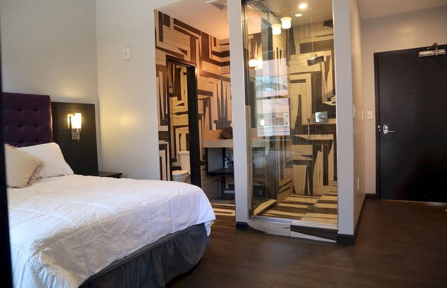 Cozy En Suite Studio - Photo 2