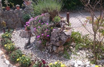 Apartmani Škrnjug - Photo 21