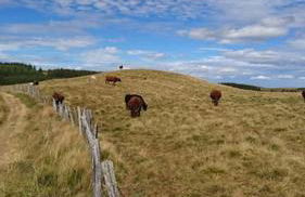 Chez Philopin - Foto 54