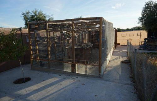 CUCHI FARM - Foto 19