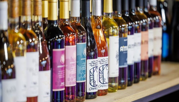 Discover the Château Island Wine Concept: Wine Tasting Experience in Algaida - Foto 2