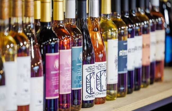 Discover the Château Island Wine Concept: Wine Tasting Experience in Algaida - Foto 2