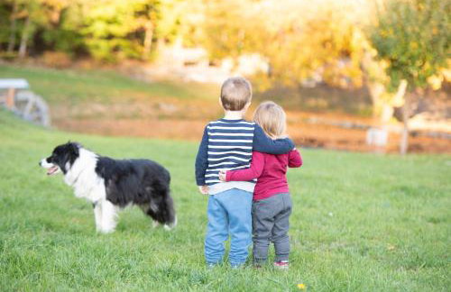 Ferienhof Stöhrmühle - Foto 72