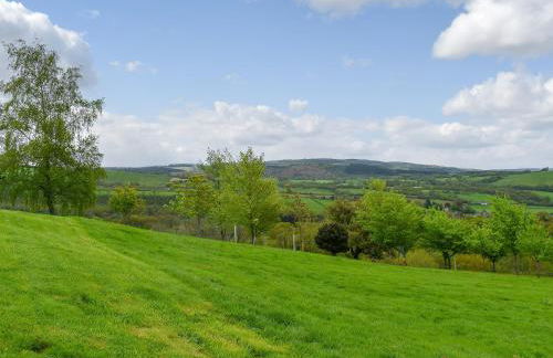 Field View - Foto 24