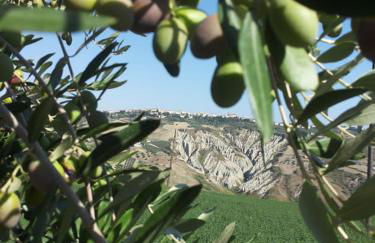 Casale Vittoria Atri - Foto 38