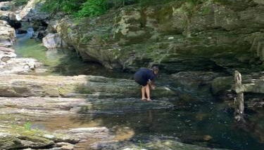 The Cottage in East Poultney - Foto 2