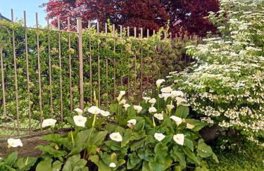 Perla house - Foto 14