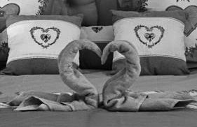 La pomme d’amour - Foto 19