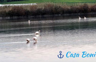 Casa Bonita Pachino - Foto 27