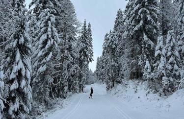 Gîte de prestige en pleine nature - Foto 22