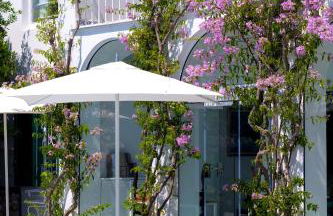 Il Carrubo Capri - Foto 3