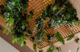 NIU Line - Be Line Group - Photo 42