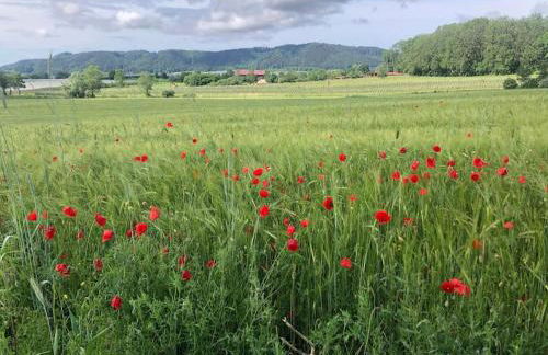 Ferienapartment Mahiya - Photo 14