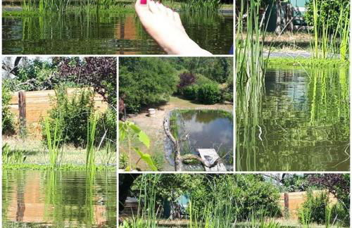 Ferienwohnung am Schwimmteich 2 - Photo 2