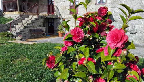 Quinta das Netas - Foto 3