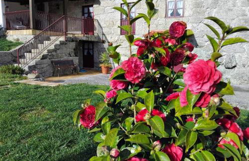 Quinta das Netas - Foto 3