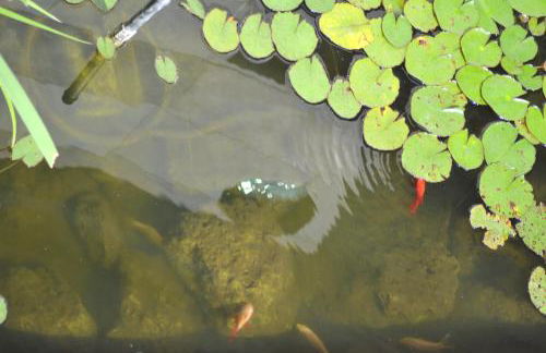 Sole & Querce Apartments- Bike Friendly with garage - Foto 50