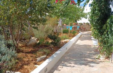 Vicky's Studios - Foto 66