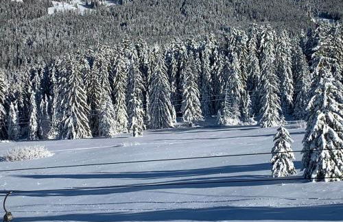 REIT IM WINKL - ValleyViewInn - Foto 23