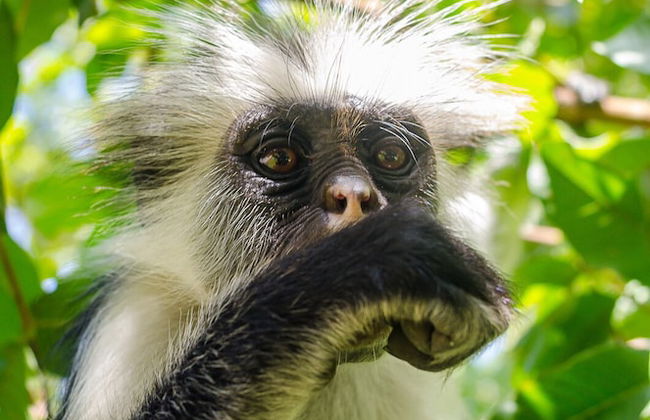 TASNEEM LUXURY APPARTMENT - Photo 54