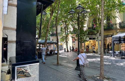 Scarlatti173 - Foto 54