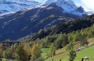 Studio Gavarnie - Foto 17