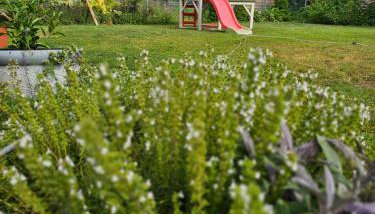 Gołubski Loft - Foto 2, Garden