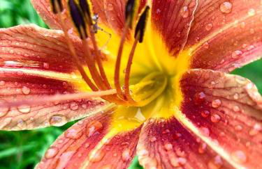 The Barn House - Foto 25