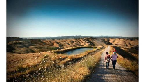 Agriturismo Le Crete - Appartamenti - Foto 1