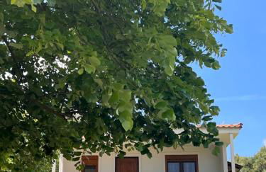 Casa Mareal - Foto 18