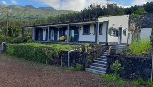 Ocean Melody - Photo 3