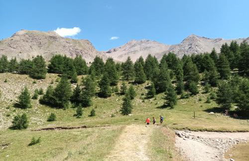 Ski et Détente Les Orres 1650 Animaux OK - Photo 60