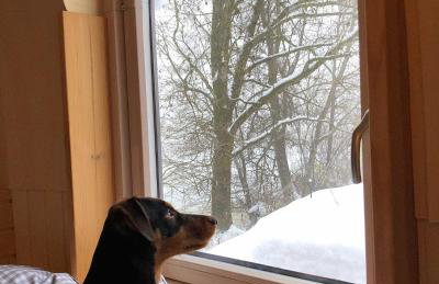 Tiny House Igluhut - Foto 34