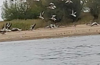 de lüt Ferienhof Jameln - Foto 35