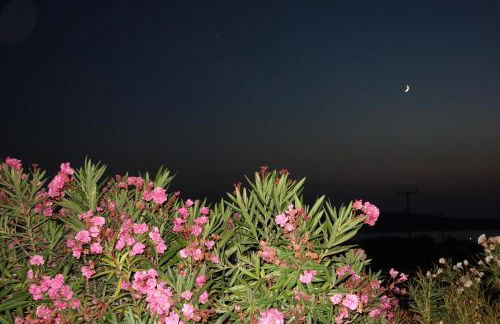 Sigrion Villas - Foto 8