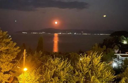 Olivia -Ελιά - Foto 44