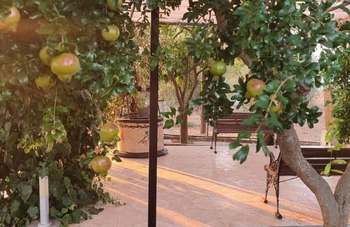 garden house nafplio - Photo 9