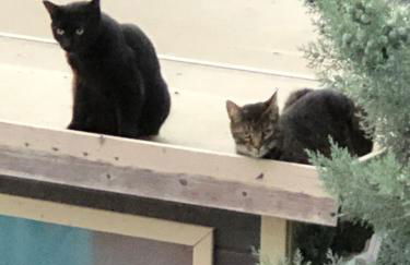 VIP Appartement - Foto 49