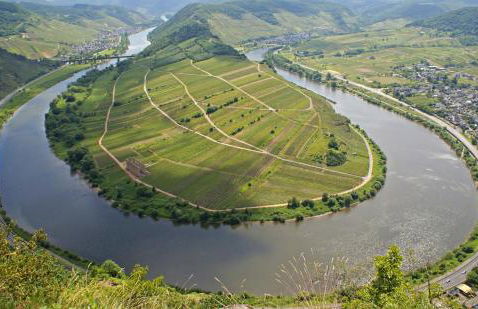 Moselblick am Waldrand - Foto 6