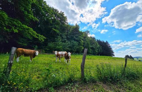 Ferienwohnungen Dorfliebe Dörnberg - Photo 79