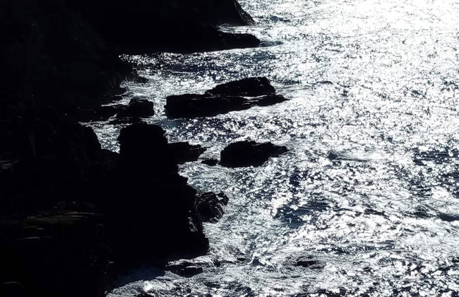 Sardinian Villa Enjoy Stintino With Your Pets ! - Photo 17