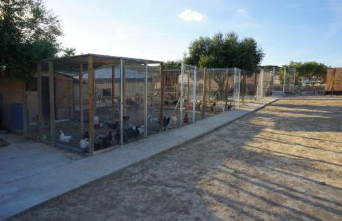 CUCHI FARM - Foto 10