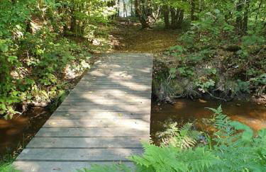 Gîte n°4, en pleine nature, frontalier - Foto 22