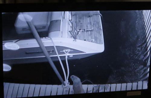 Marina Boathouse, lake windermere lets - Foto 25